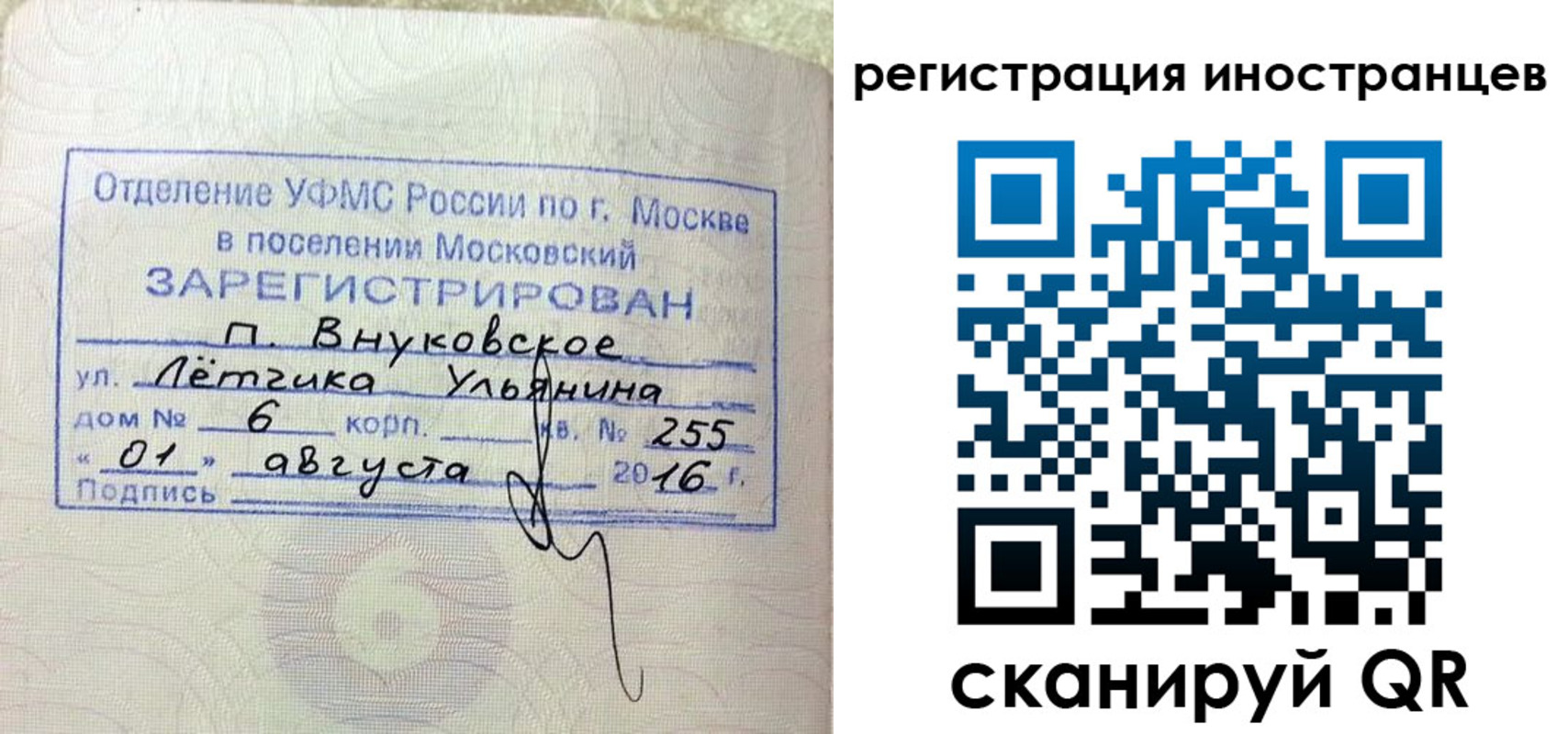 прописка поиск в Санкт-Петербурге